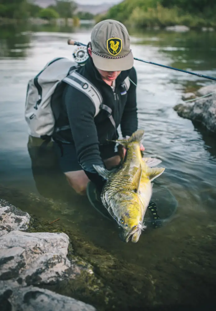 Seasonal Guide: Optimize Your South Africa Golf & Fly Fishing Trip